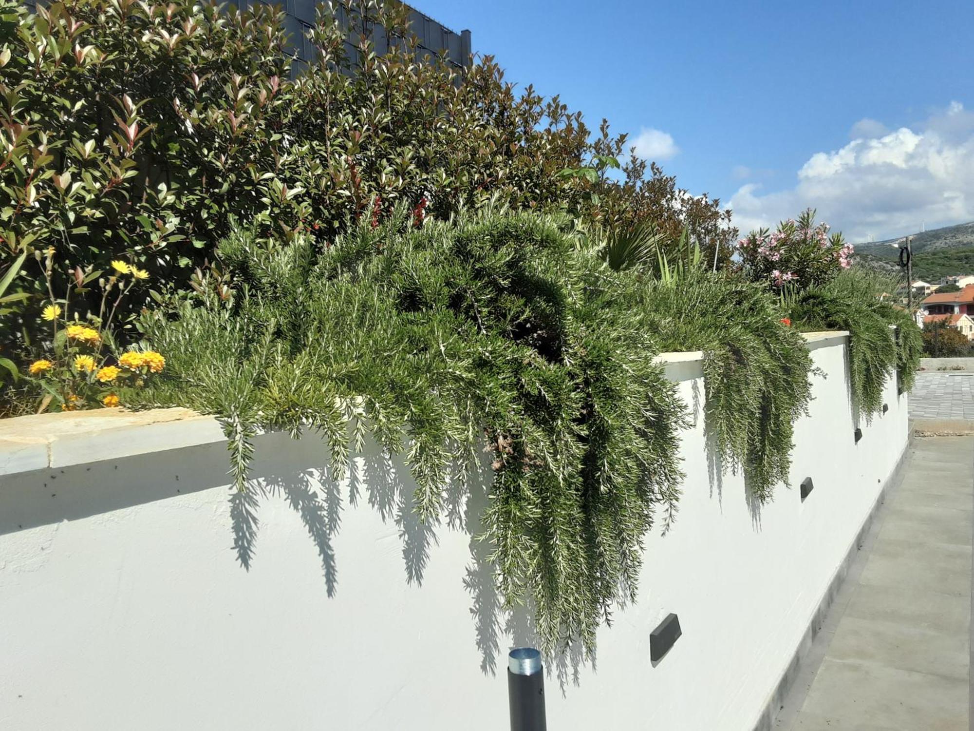 Villa Barbara & Zoran With Free Parking And Heated Swimming Pool Seget Vranjica Extérieur photo